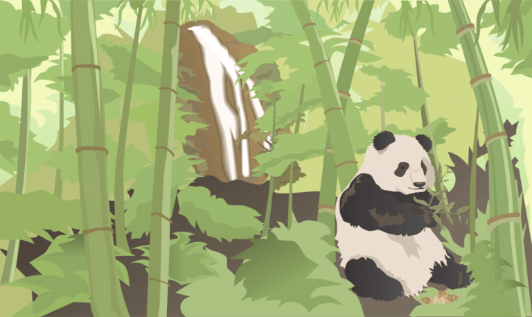 Mémo – Pandas pour le Traitement de Données