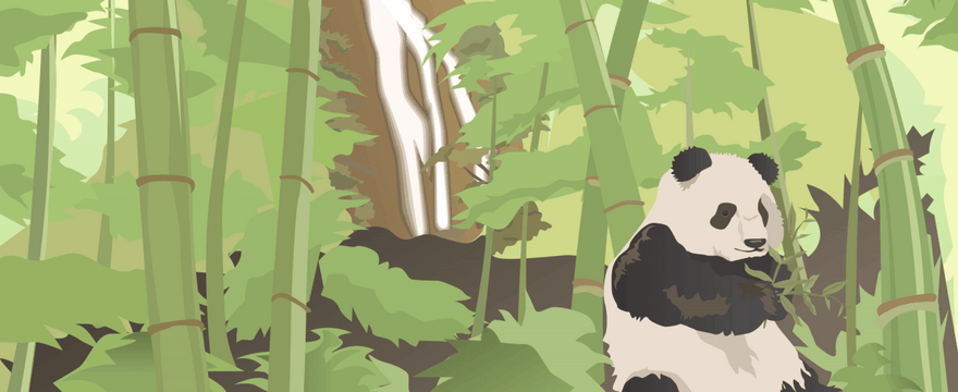 Mémo – Pandas pour le Traitement de Données